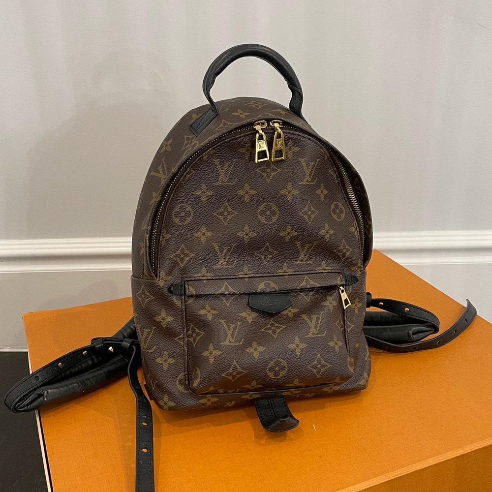 Louis Vuitton Pm backpack